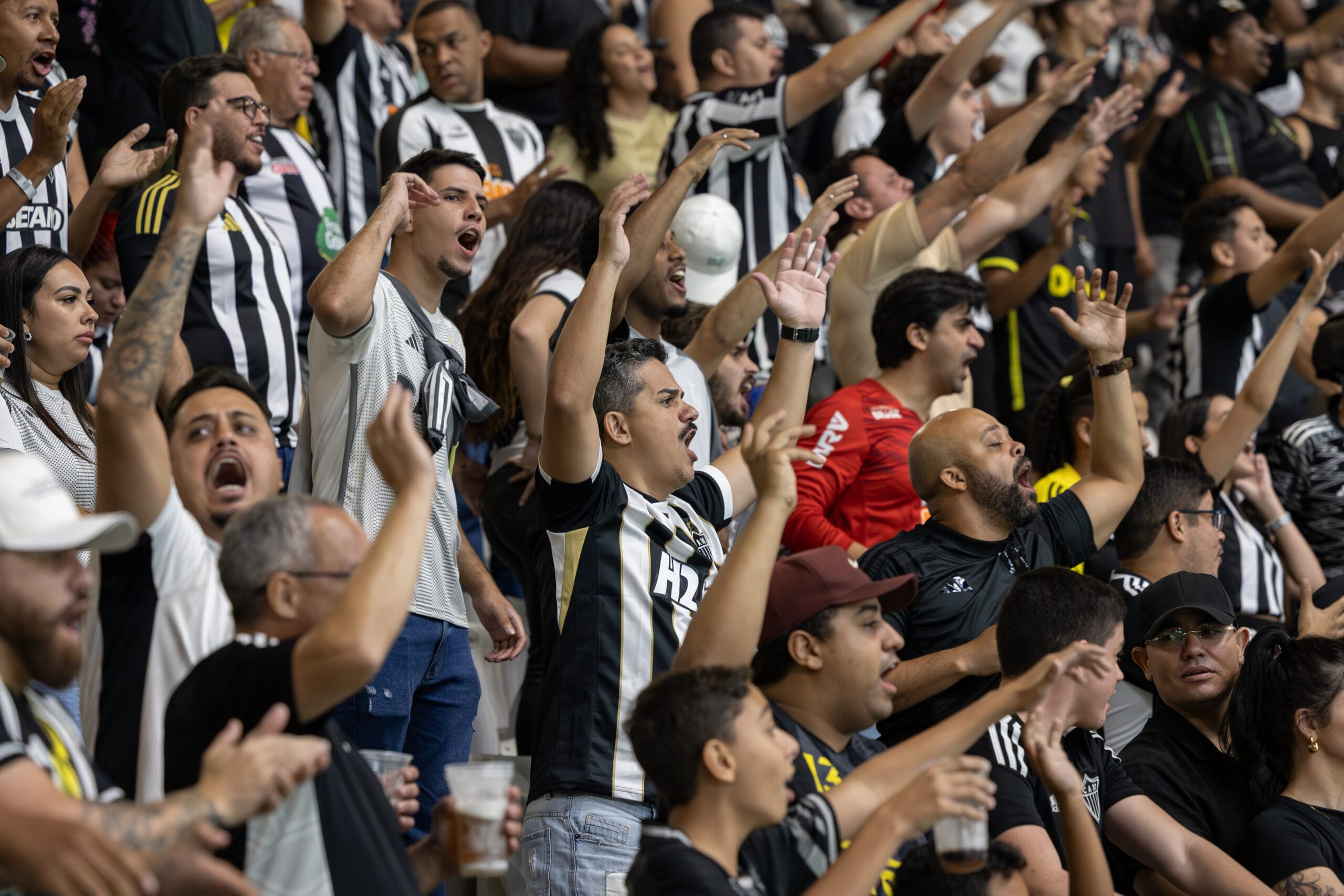 torcida do galo